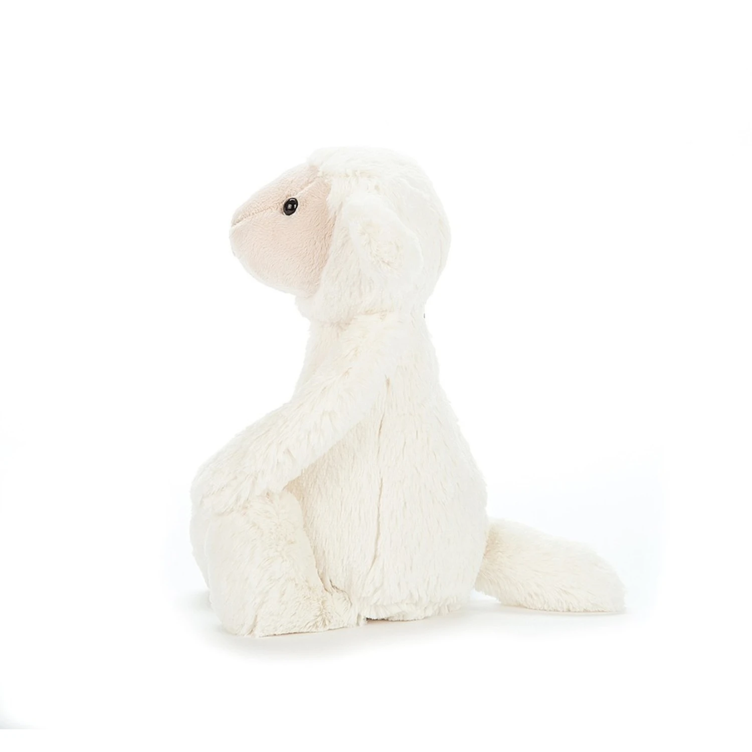 Jellycat - Bashful Lamb - Small - Image 2